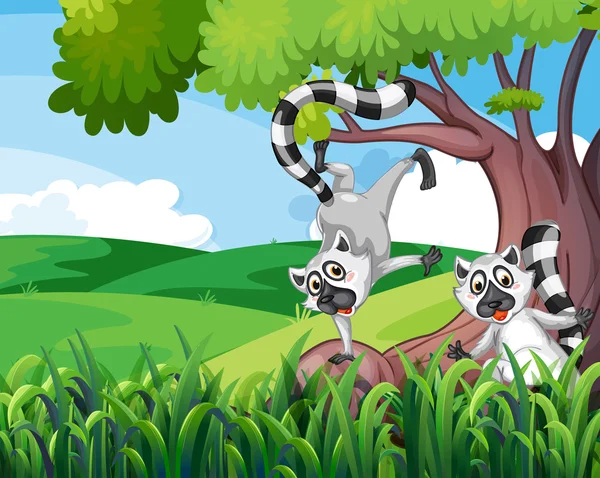 Dvě hravé lemury v lese — Stockový vektor