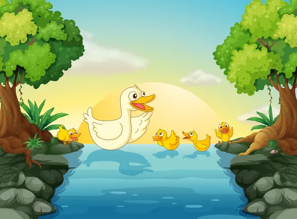 Ducks at the river — Stock Vector