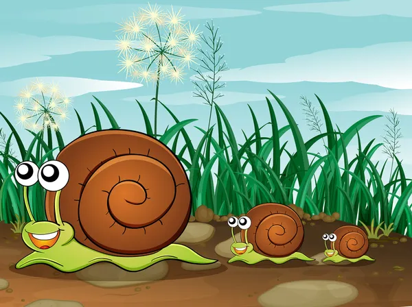 Trois escargots — Image vectorielle