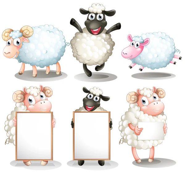 Sheeps and lambs with empty boards — Stock Vector