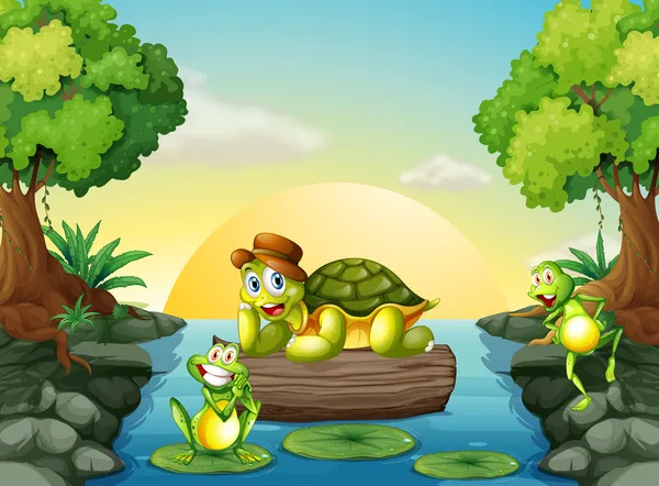 A turtle and the two frogs at the river — Stock Vector
