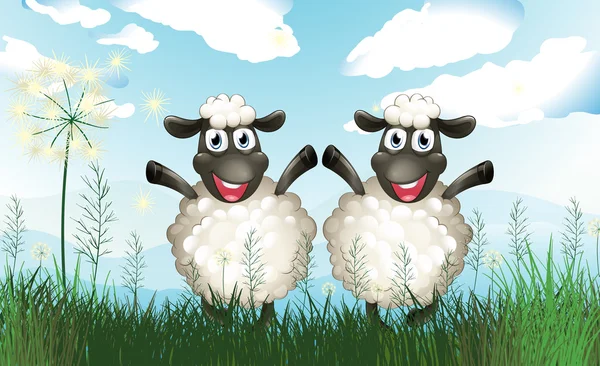 Two sheeps at the field — Stock Vector