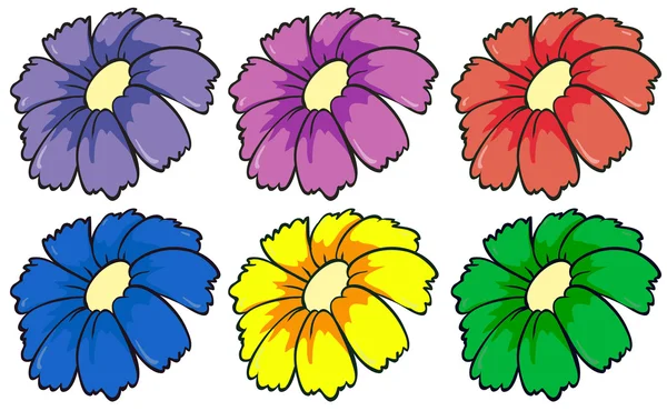 Six fleurs colorées — Image vectorielle