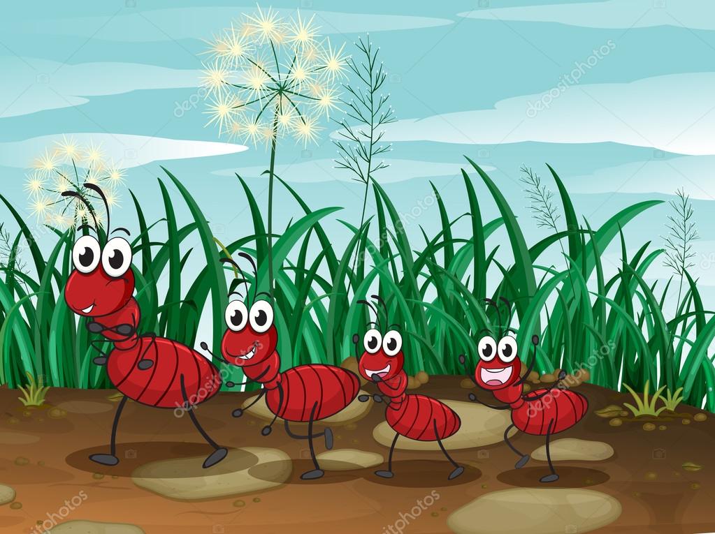 Four ants Stock Vector Image by ©interactimages 45566185