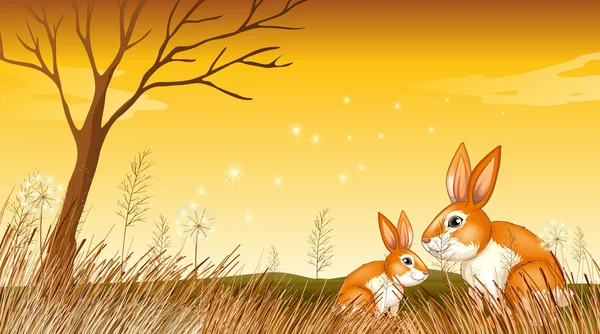 两个小兔子附近的草 — 图库矢量图片