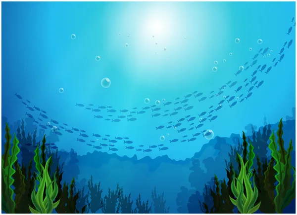 School of fishes under the sea — Stock Vector