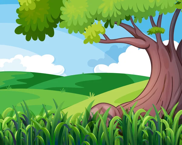 Velký strom na kopcích — Stockový vektor