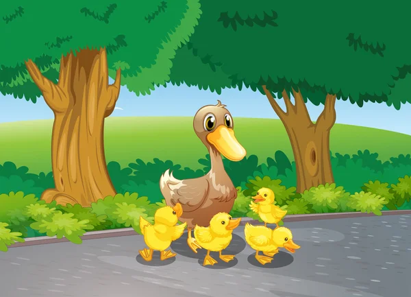 A mother duck and her ducklings at the road — Stock Vector
