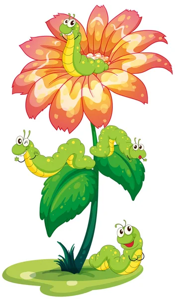 A big flower with worms — Stock Vector