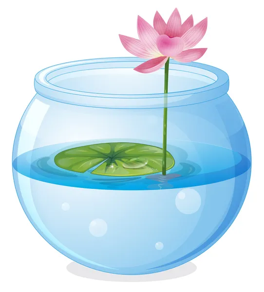 Een aquarium met een waterlily en een bloem — Stockvector