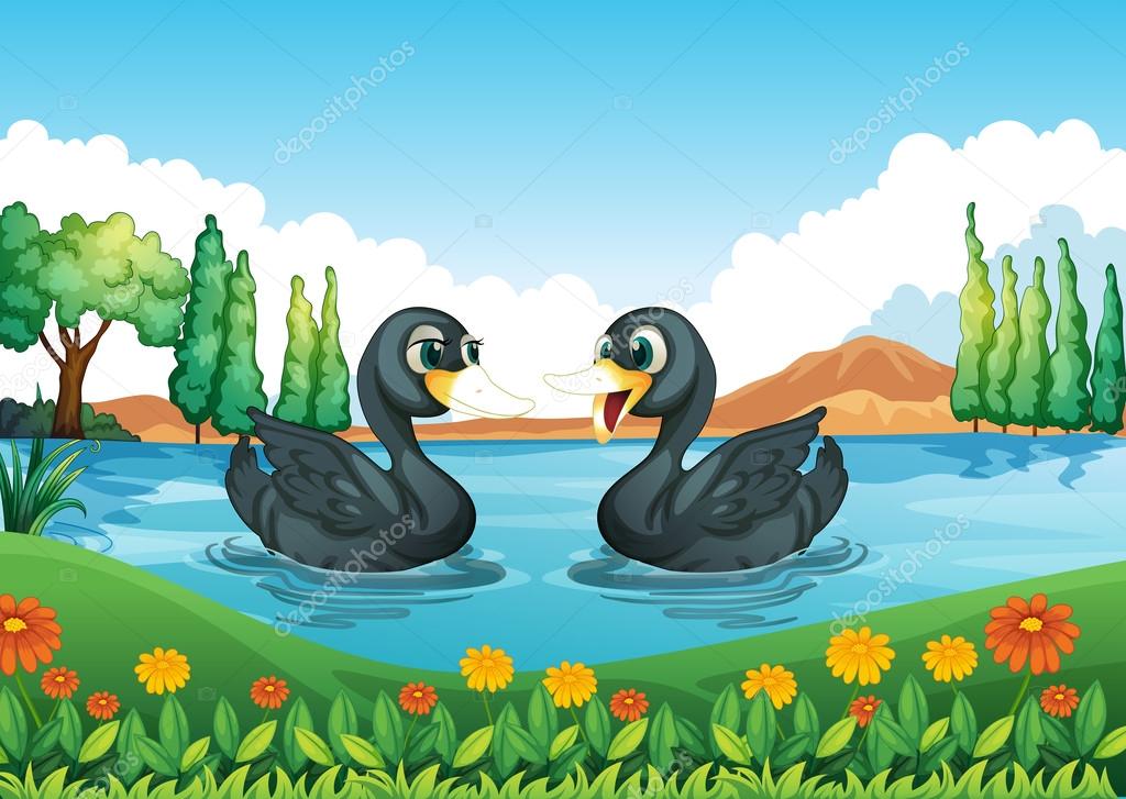 A river with two ducks