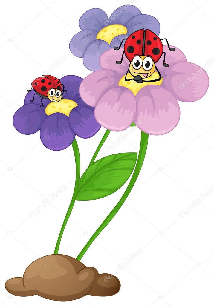 Flowers with ladybugs