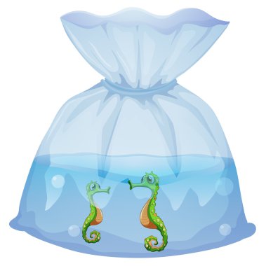 A pouch with seahorses clipart