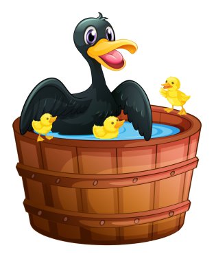 ördek ve onun ducklings mini havuz