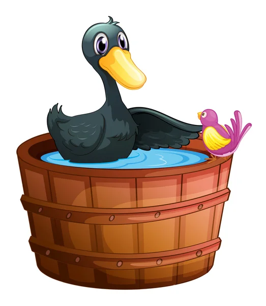 A bird watching the duck above the pail — Stock Vector