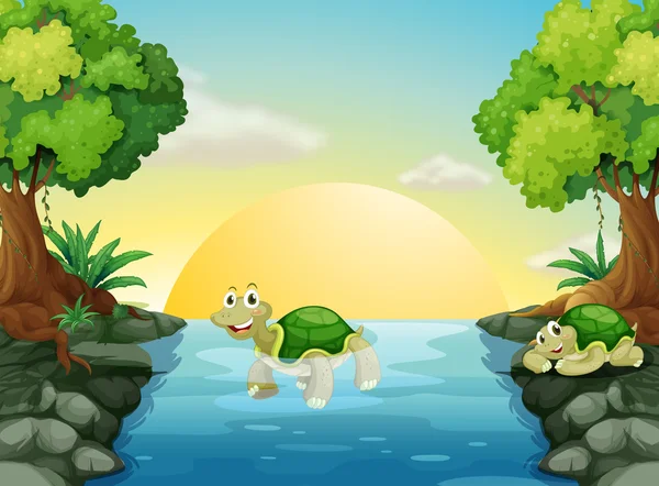 A smiling turtle at the river — Stock Vector