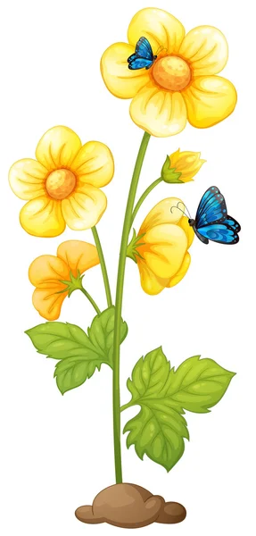 Fresh yellow flowers with butterflies — Stock Vector