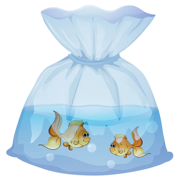 Un sacchetto di plastica con due pesci — Vettoriale Stock