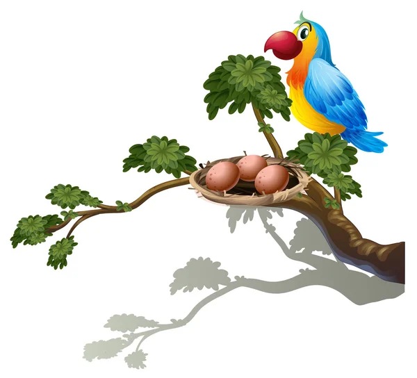 A big branch of a tree with a nest and a bird — Stock Vector