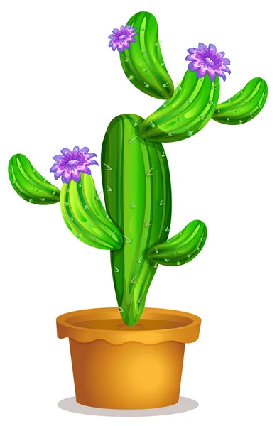 Una pianta di cactus in una pentola — Vettoriale Stock