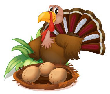 Türkiye'nin yanında yuva yumurta ile