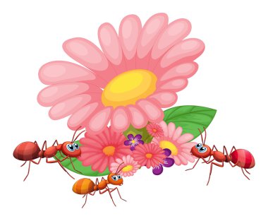 Fresh flowers with ants clipart