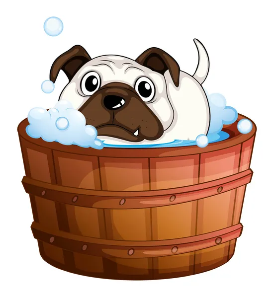 Un bulldog dentro de la bañera — Archivo Imágenes Vectoriales
