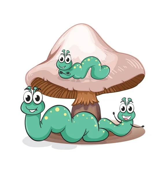 A mushroom with caterpillars — Stock Vector
