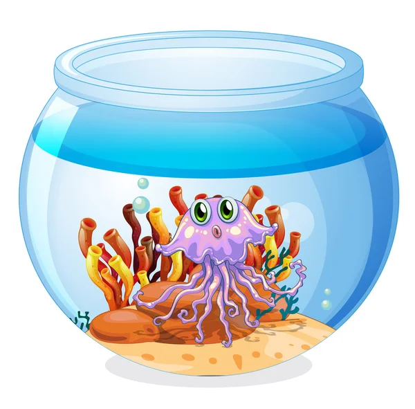 Un calamaro nell'acquario — Vettoriale Stock