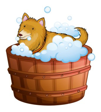 büyük bir köpek, küvet