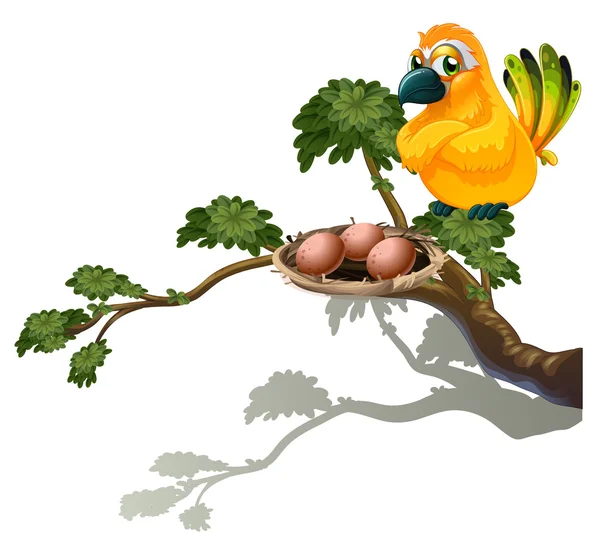 An orange bird watching the eggs — Stock Vector