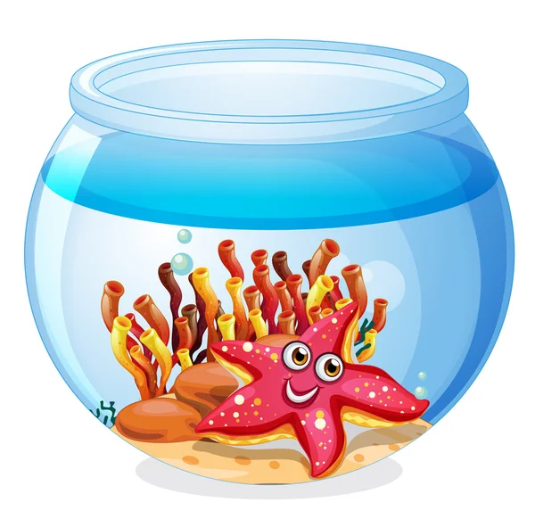 A starfish inside the aquarium — Stock Vector