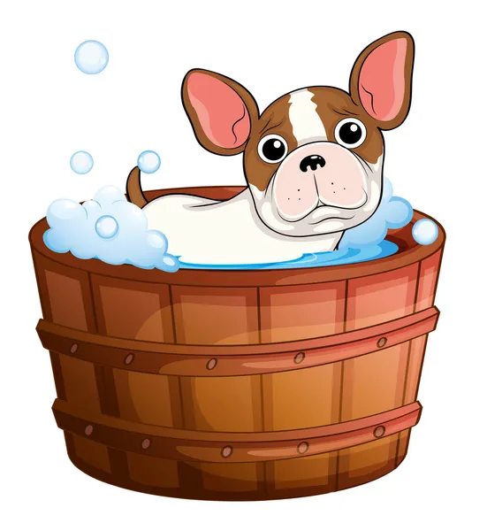 A cute little dog taking a bath — Stock Vector