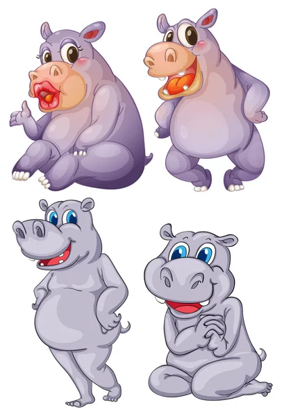Cuatro hipopótamos — Vector de stock