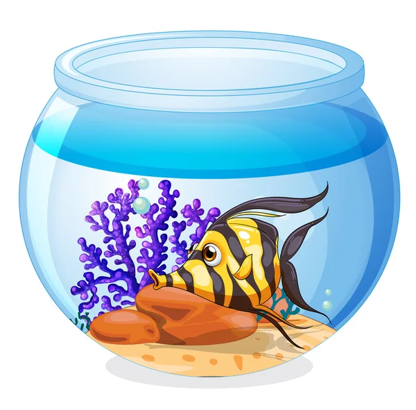 A fish inside the jar — Stock Vector