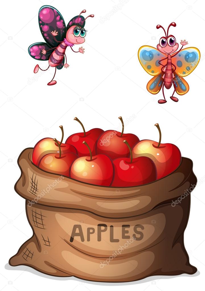 A sack of crunchy apples