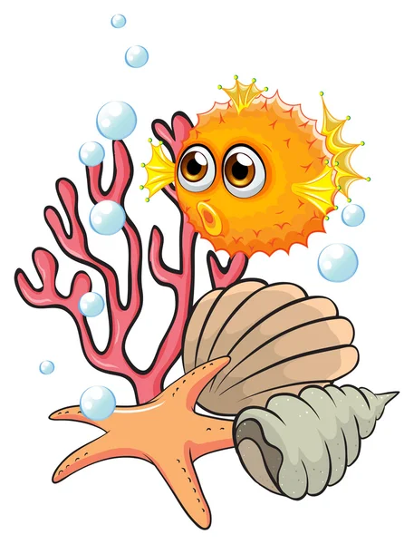 An orange puffer fish near the seashells — Stock Vector