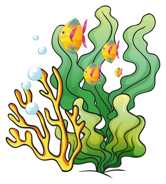 A school of fishes near the seaweeds — Stock Vector