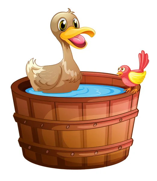 Um pato e um pássaro a tomar banho —  Vetores de Stock