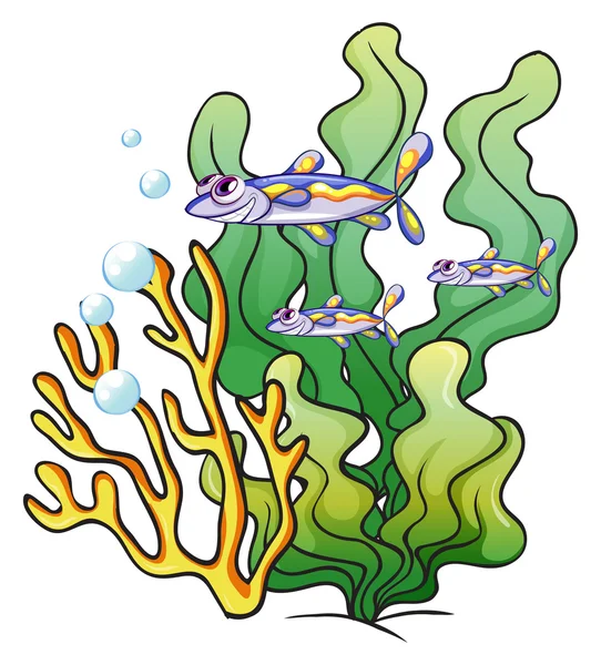 Three fishes under the sea near the seaweeds — Stock Vector