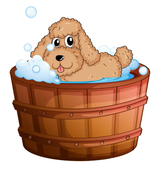 A dog taking a bath — Stock Vector