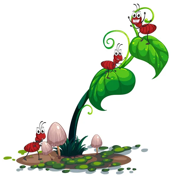 Zelená rostlina s mravenci — Stockový vektor