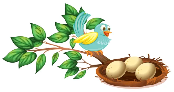 A blue bird watching the eggs in the nest — Stock Vector