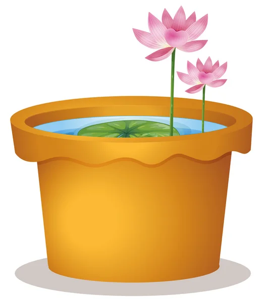 A pot with a waterlily and lotus flowers — Stock Vector