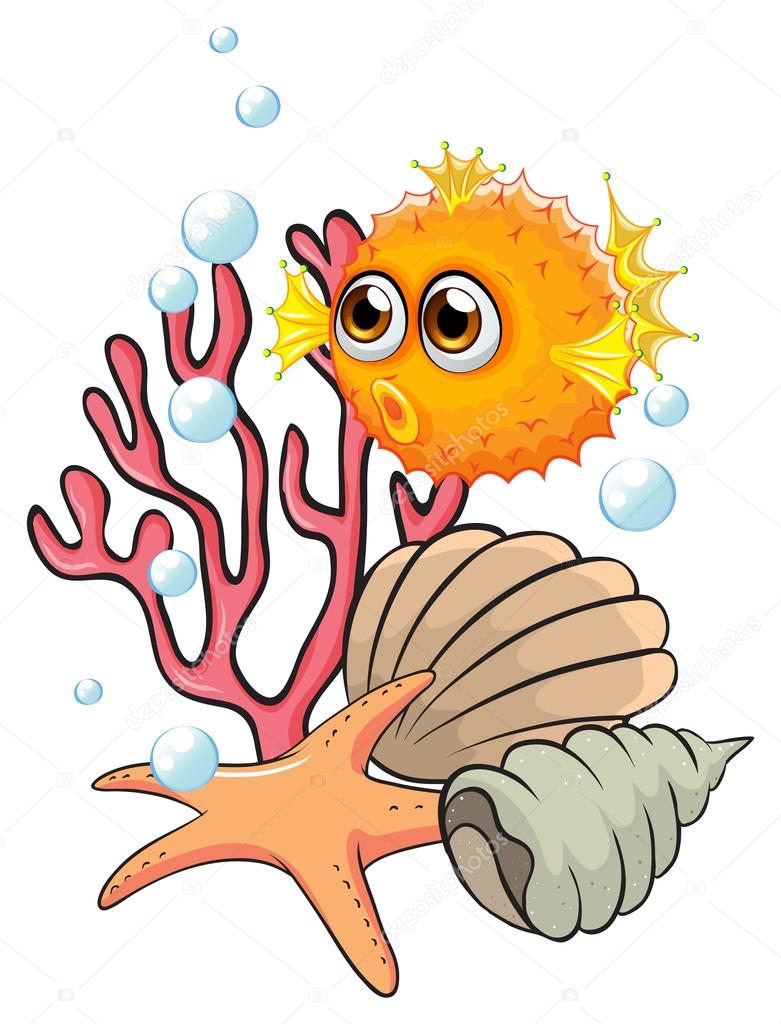 An orange puffer fish near the seashells