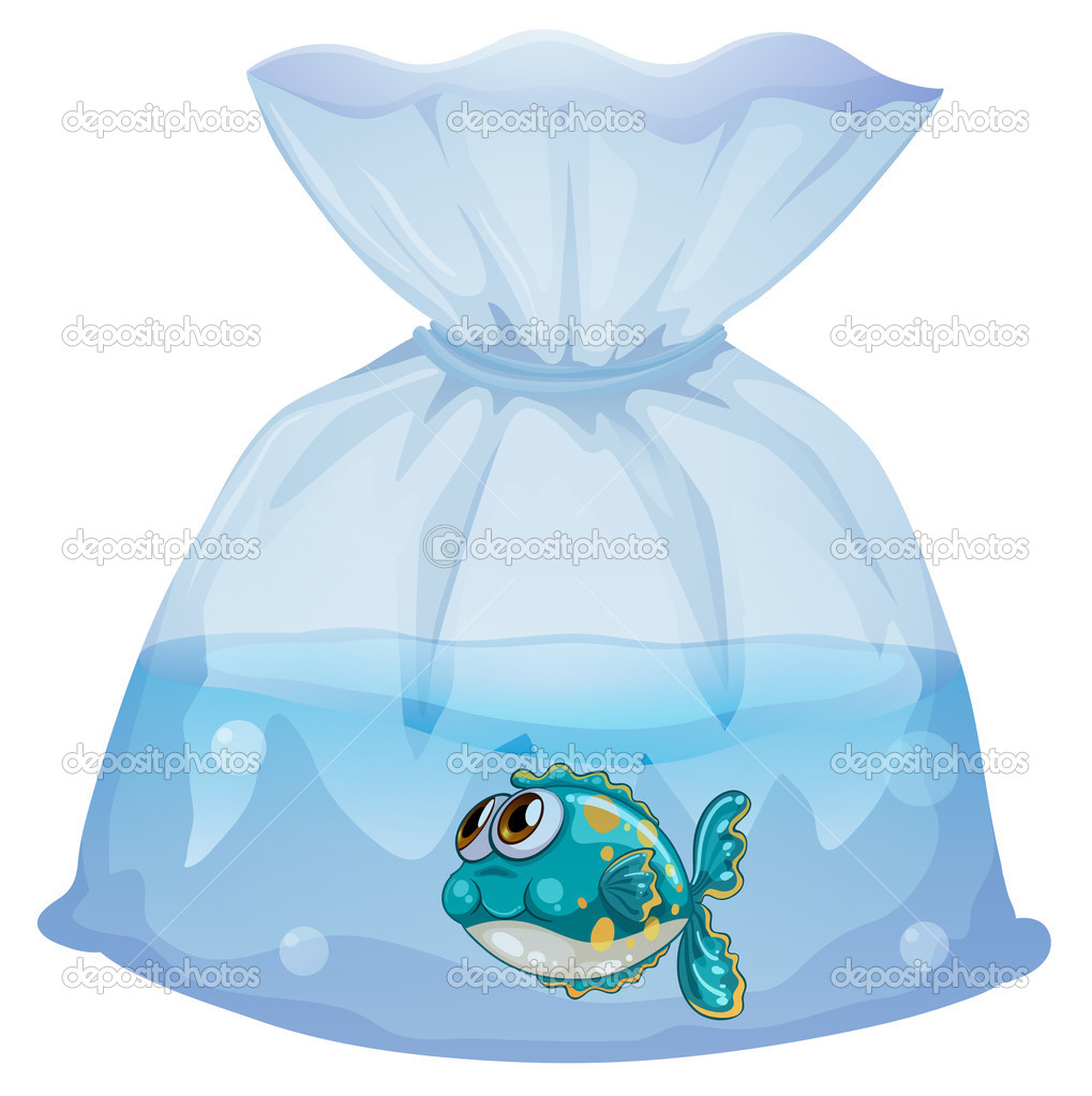 A plastic pouch with a fish