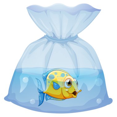 A fish inside the plastic pouch clipart