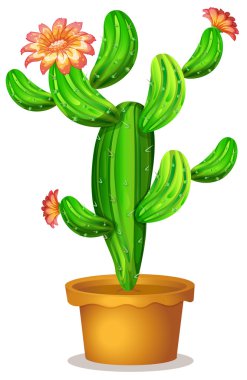 A cactus plant with flowers clipart