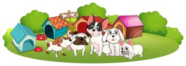 Evlerinin dışında köpekler bir grup