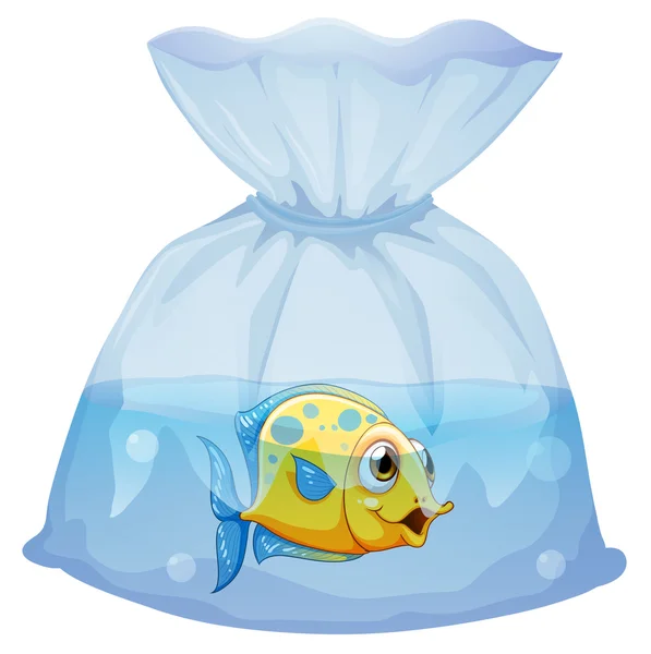 A fish inside the plastic pouch — Stock Vector